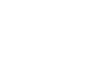 Premedic